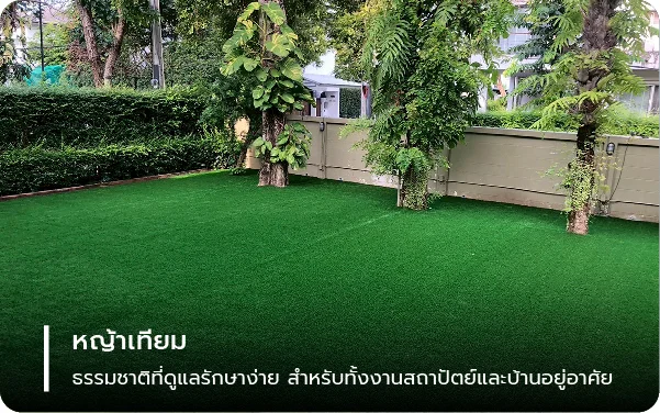 หญ้าเทียม – ธรรมชาติที่ดูแลรักษาง่าย สำหรับทั้งงานสถาปัตย์และบ้านอยู่อาศัย