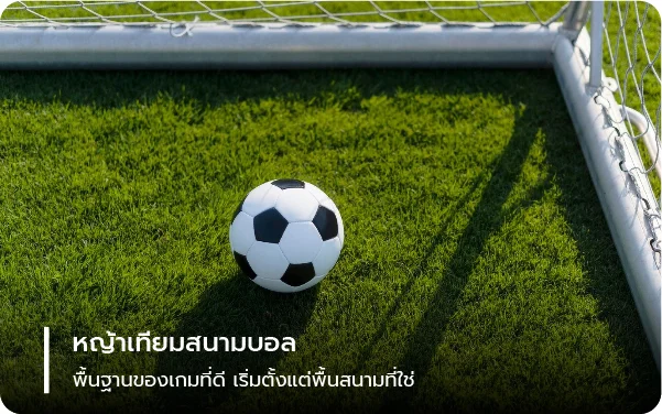 หญ้าเทียมสนามบอล พื้นฐานของเกมที่ดี เริ่มตั้งแต่พื้นสนามที่ใช่