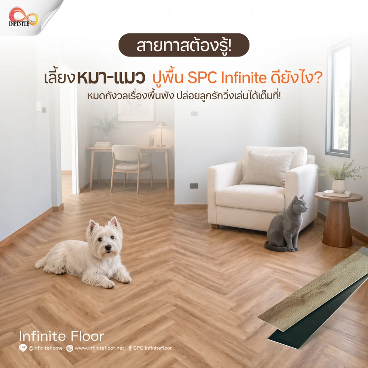 เลี้ยงหมา-แมวในบ้าน เลือกพื้นแบบไหนดี? ทำไมพื้น SPC จาก Infinite Floor ถึงตอบโจทย์บ้าน Pet-Friendly มากที่สุด