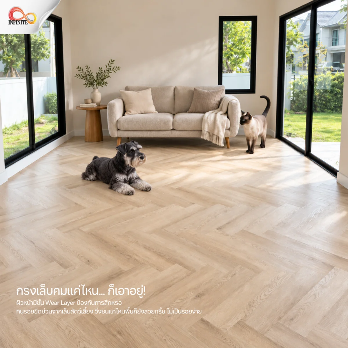 เลี้ยงหมา-แมวในบ้าน เลือกพื้นแบบไหนดี? ทำไมพื้น SPC จาก Infinite Floor ถึงตอบโจทย์บ้าน Pet-Friendly มากที่สุด