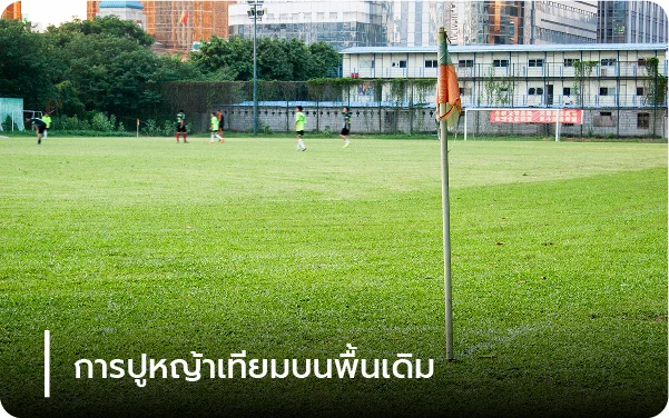 การปูหญ้าเทียมบนพื้นเดิม