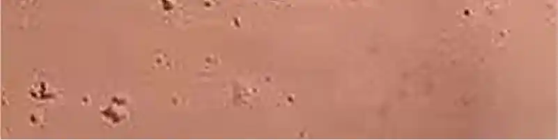 แผ่นดินเหนียวดัดแปลง MCM modified clay material